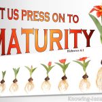 Knowing Jesus